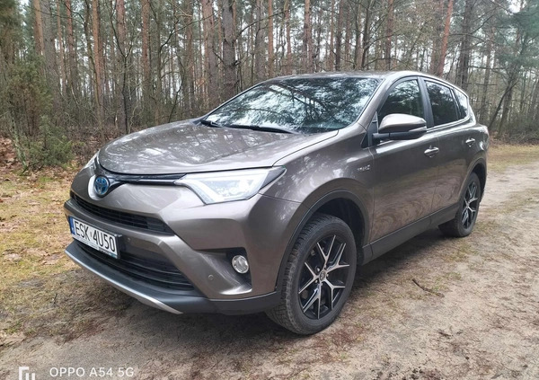 Toyota RAV4 cena 89000 przebieg: 137000, rok produkcji 2017 z Skierniewice małe 46